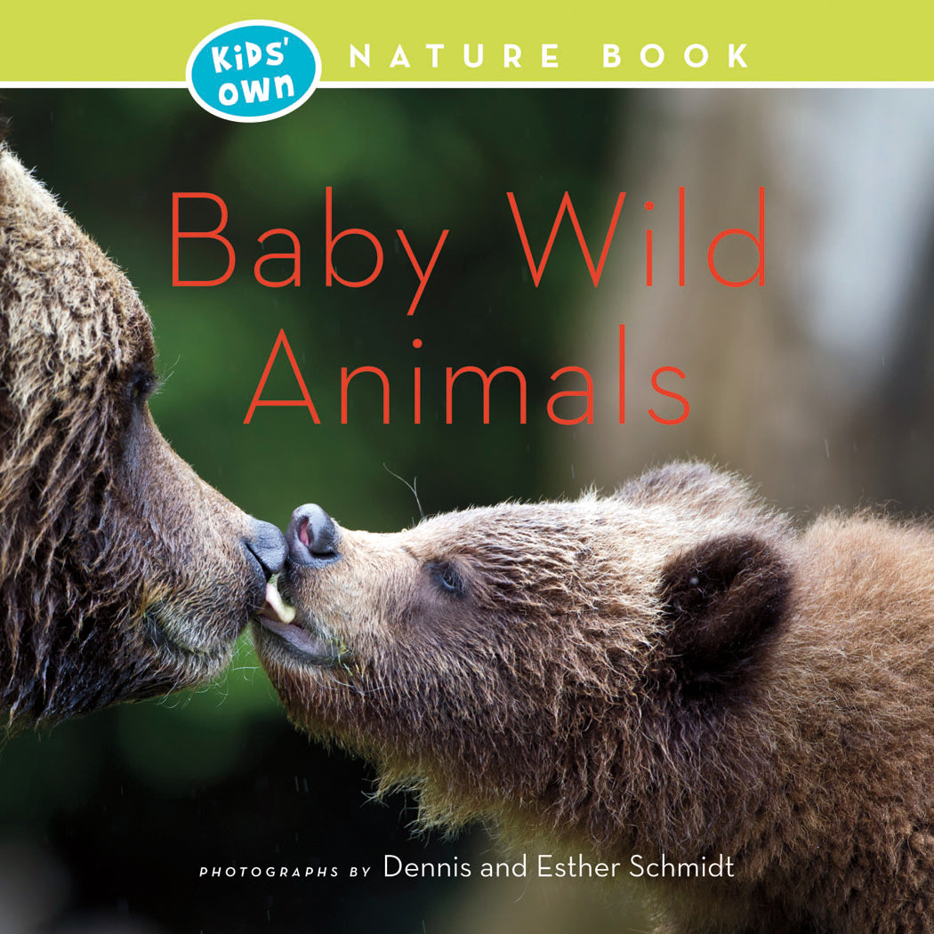 Baby Wild Animals
