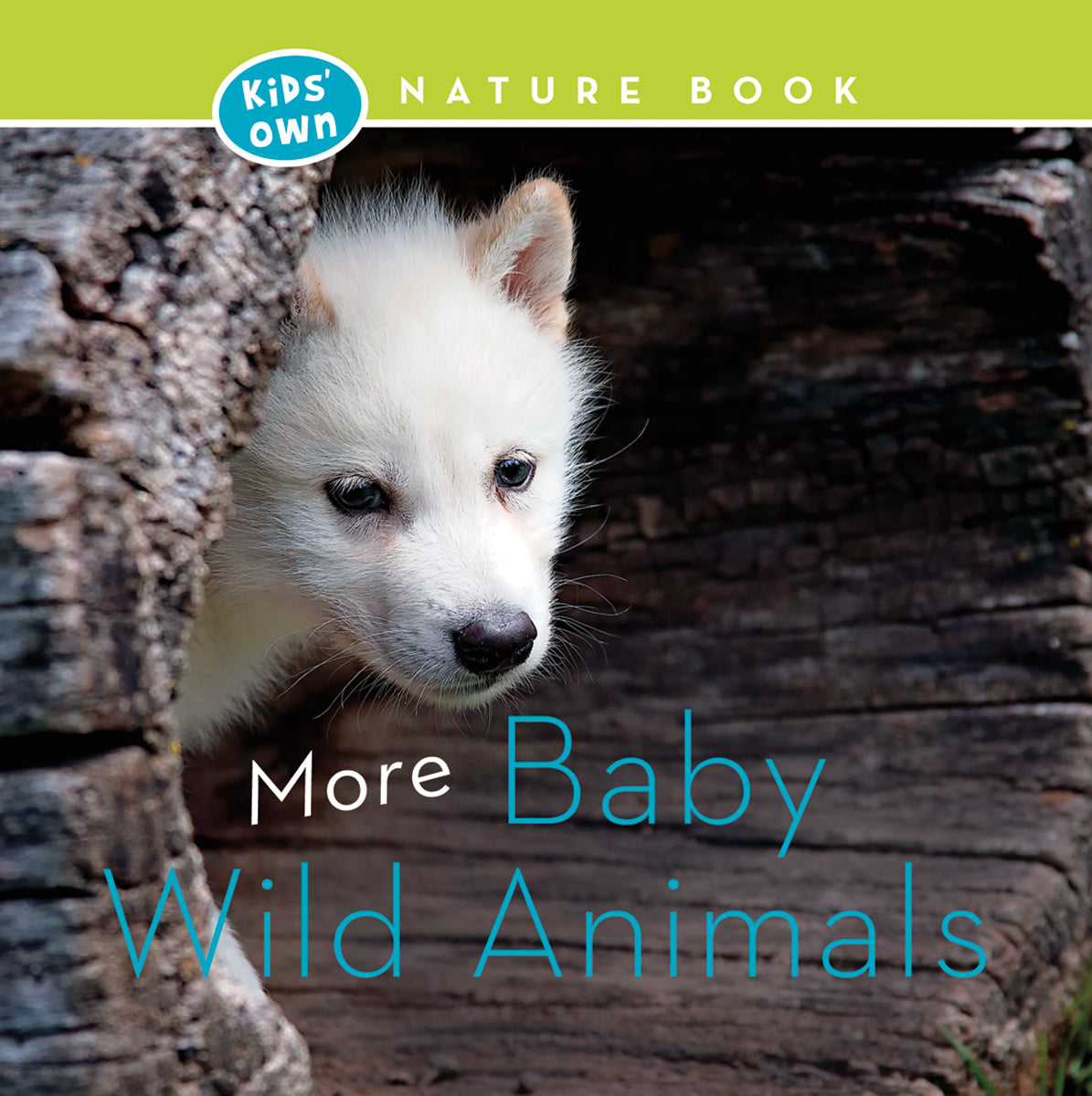 More Baby Wild Animals
