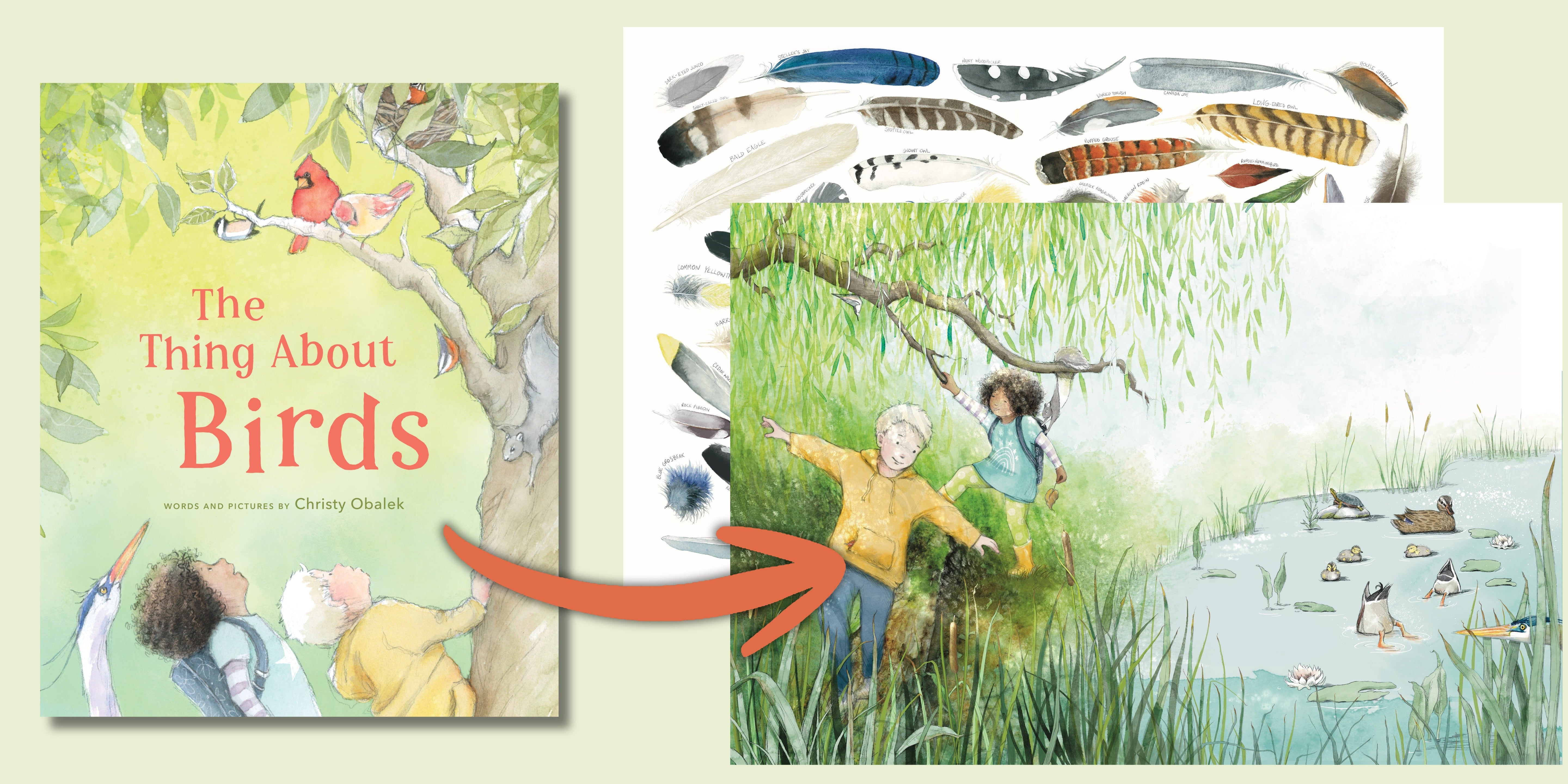The Thing About Birds cover is on a light green background with an arrow graphic pointing to an interior painting