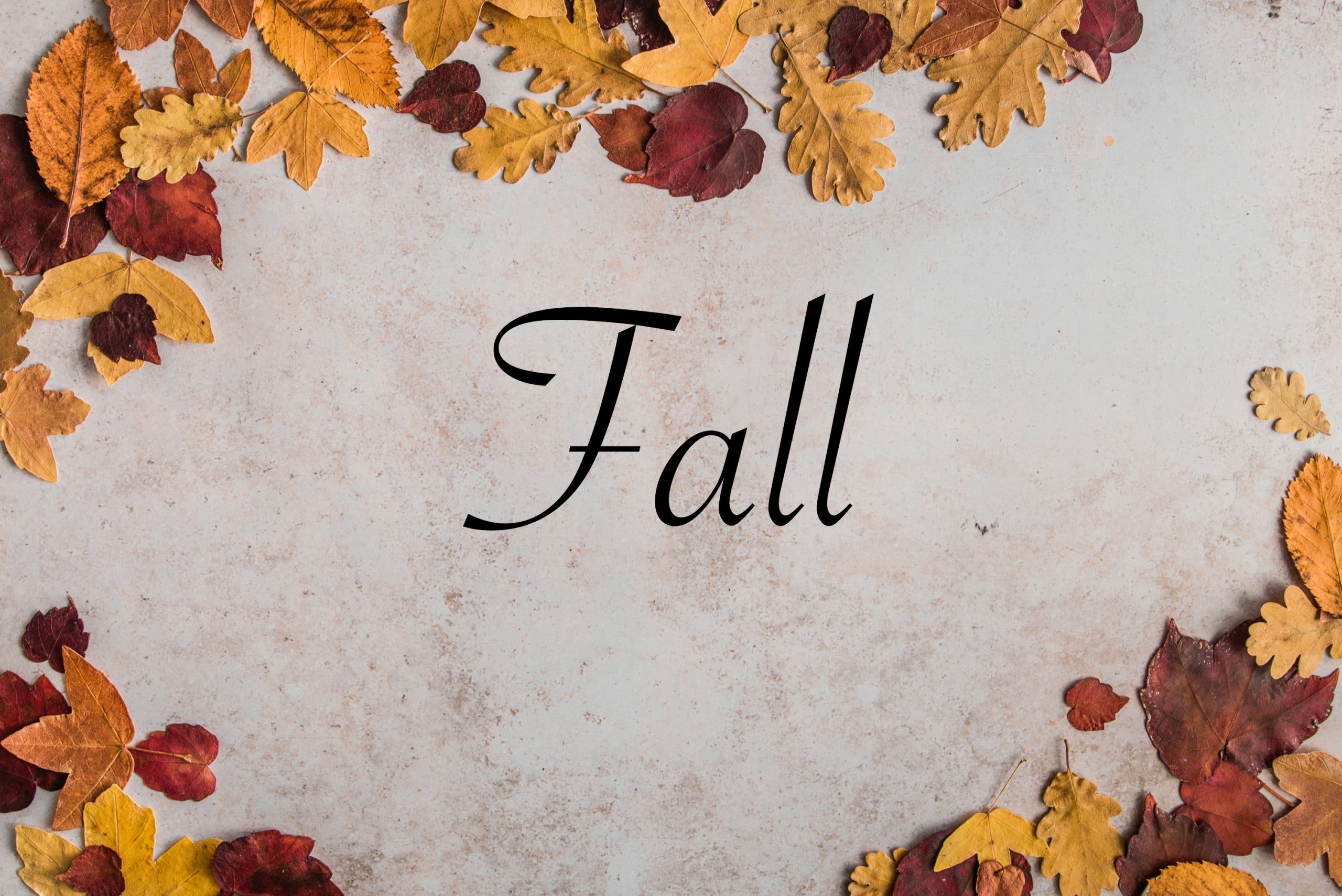 Falling for Fall Books