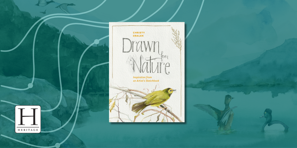 LOOK INSIDE: Drawn from Nature: Inspiration from an Artist’s Sketchbook by Christy Obalek