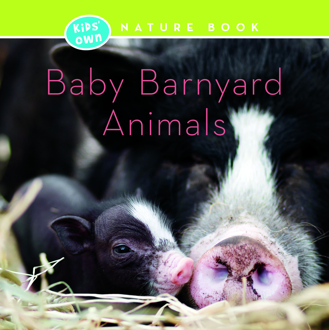 Baby Barnyard Animals