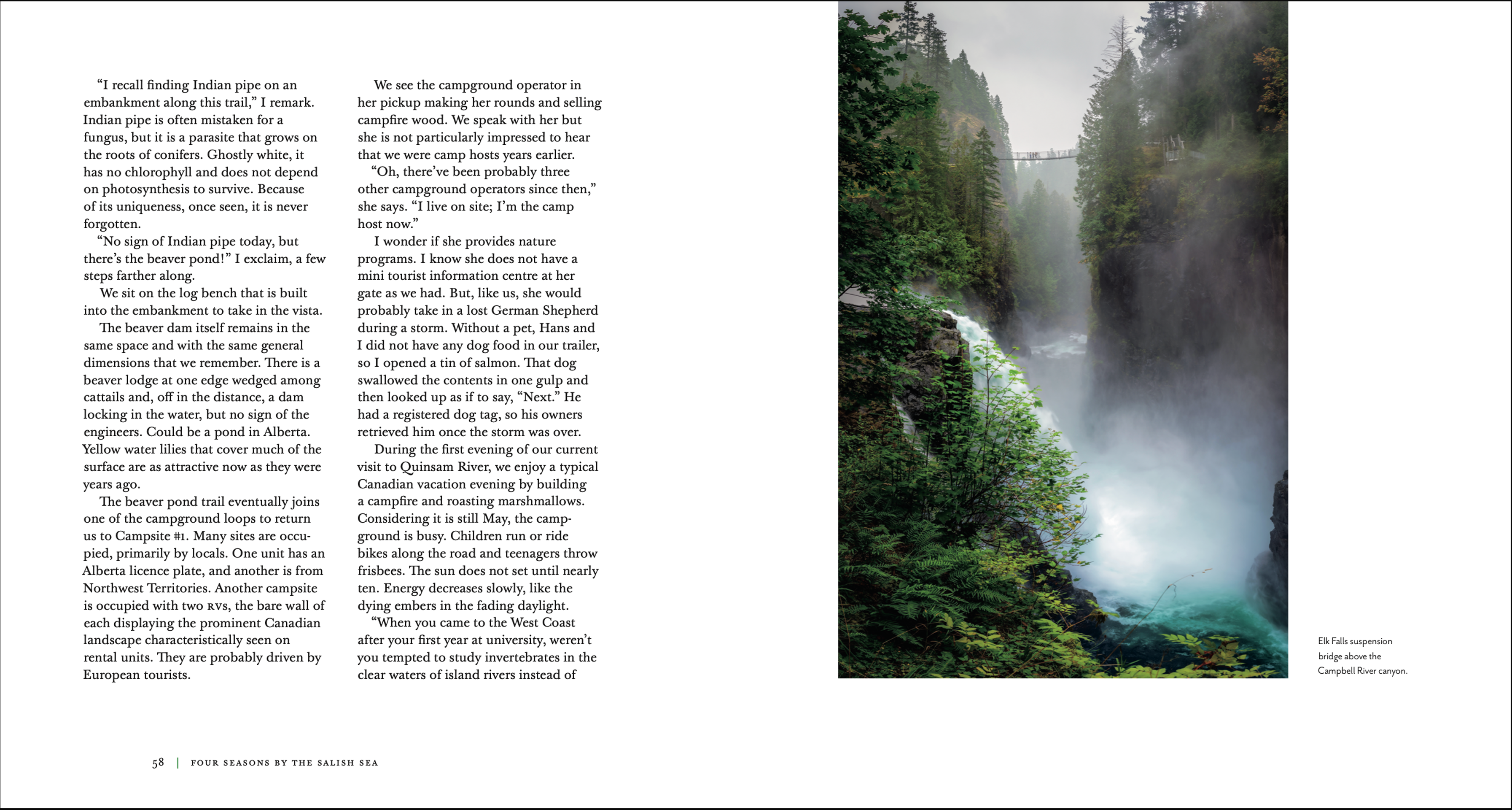 Four Seasons Spread 3 - Waterfall